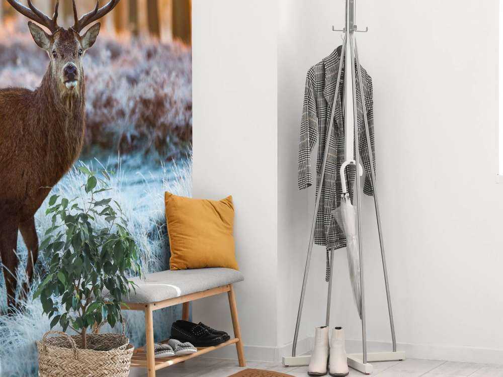 Rendier bij zonsopkomst