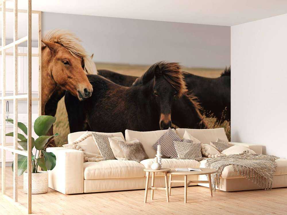 Prachtige paarden in de wind