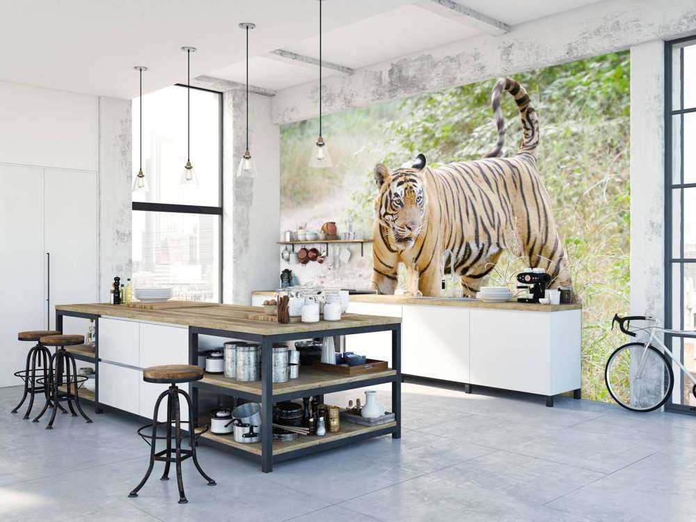 Bengaalse Tijger lopend in woud