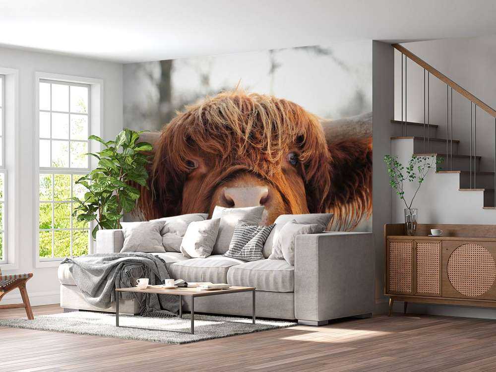 Grappige Portretfoto van Hooglander