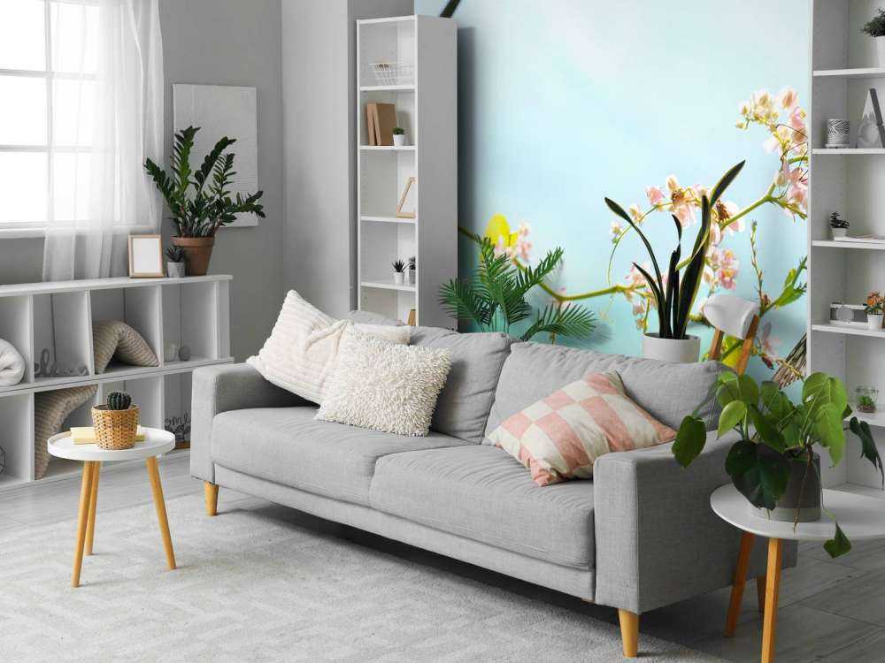 2 Mooie Vlinders op Bloesem