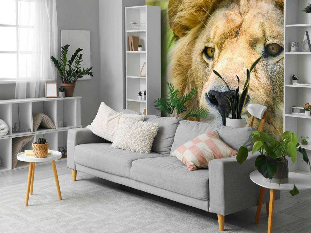 Gezicht van een Mooie Leeuw