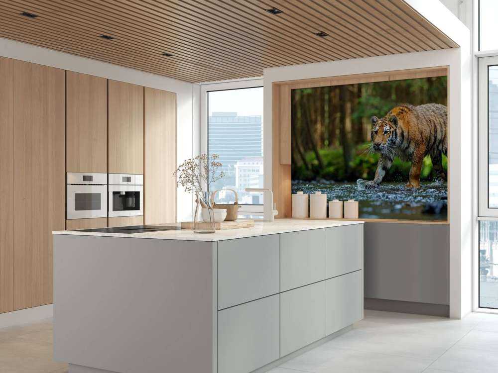 Tijger op een rivier