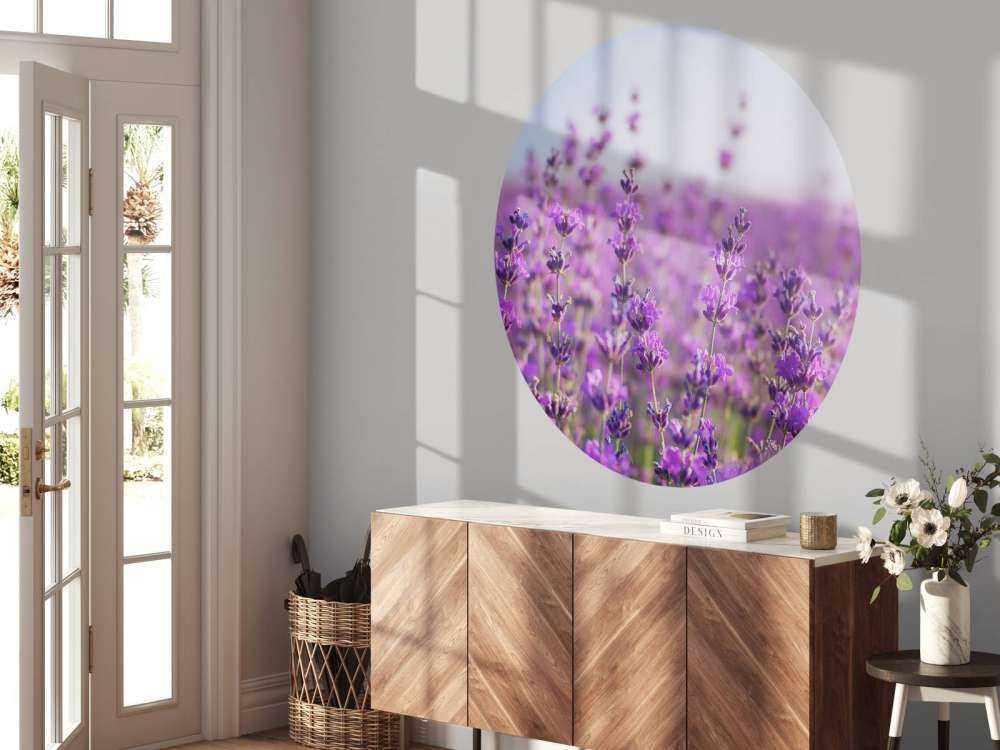 Close-Up van Lavendel