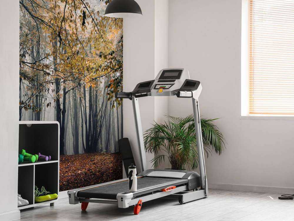 Mistig Herfst Bos met veel Bomen