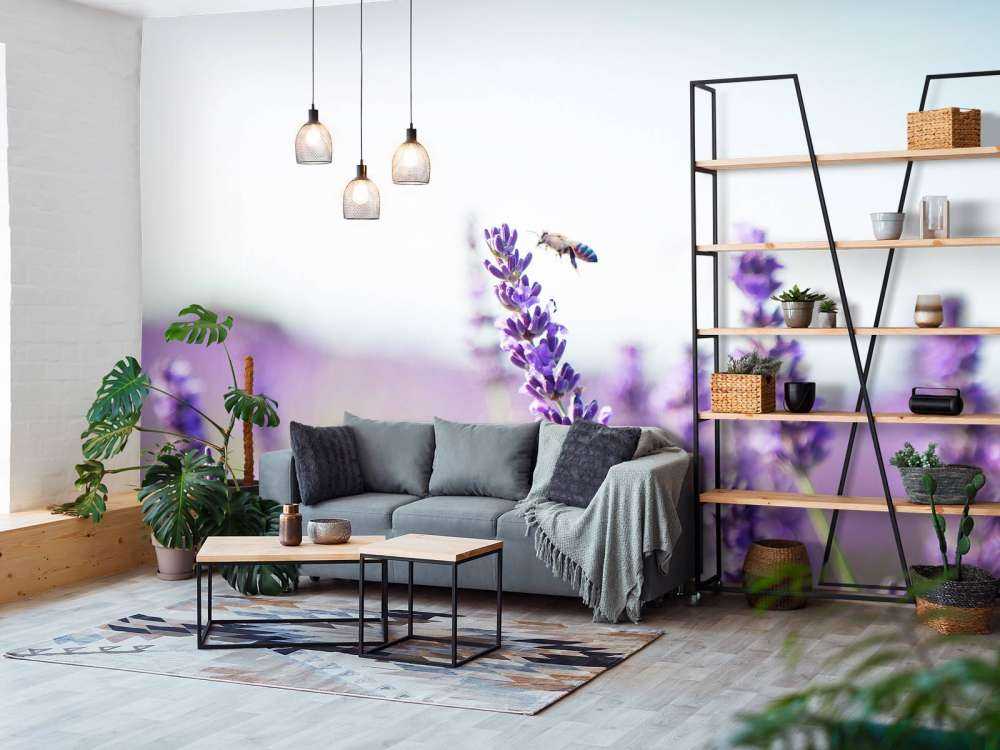 Lavendel steel close-up