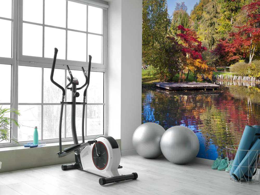 Bomen achter het Water