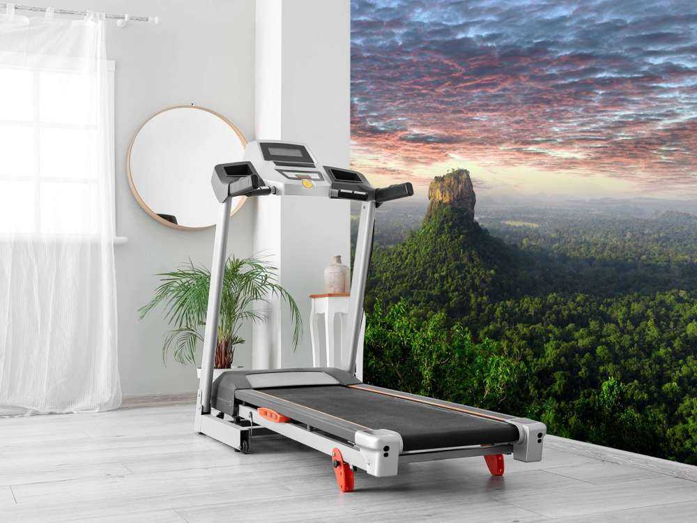 Leeuwenrots in Sri Lanka