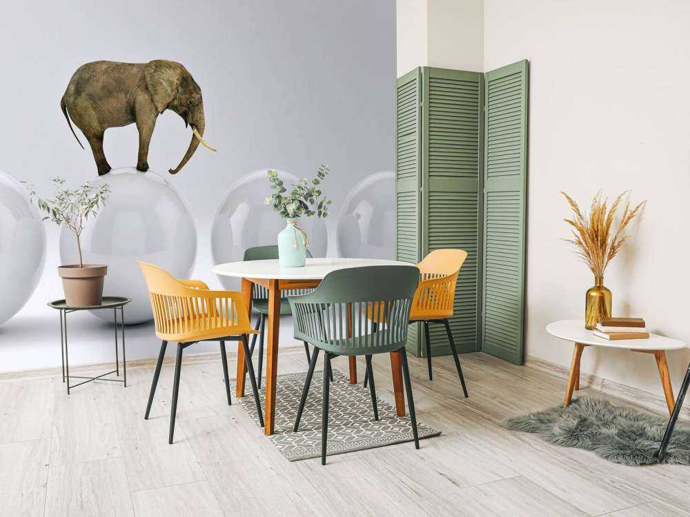 Olifant op een witte bal