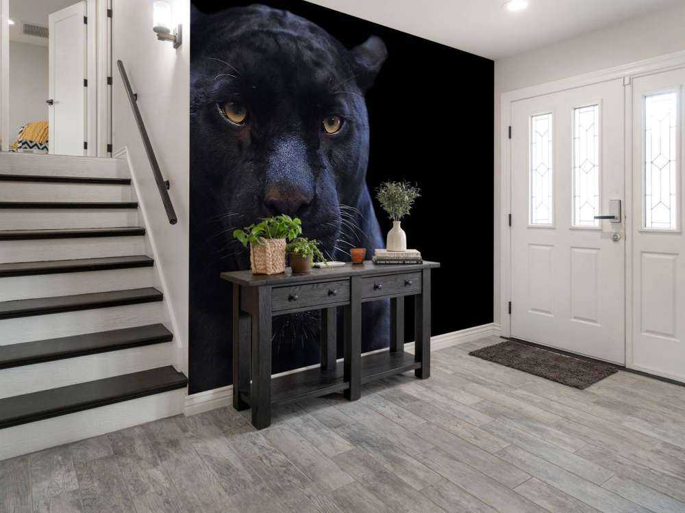 Panter met een zwarte achtergrond