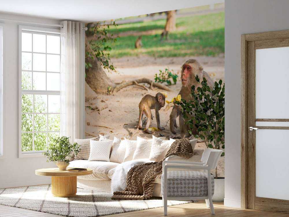 Moeder aap geeft haar kindje te eten