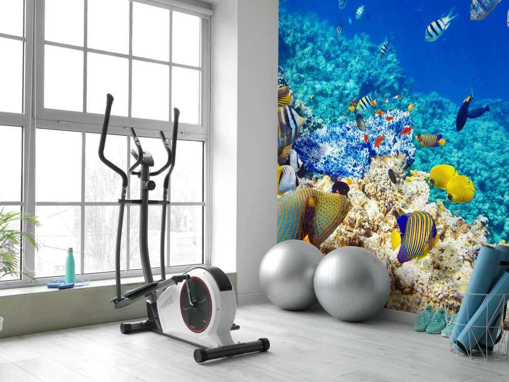 Exotische vissen in de oceaan