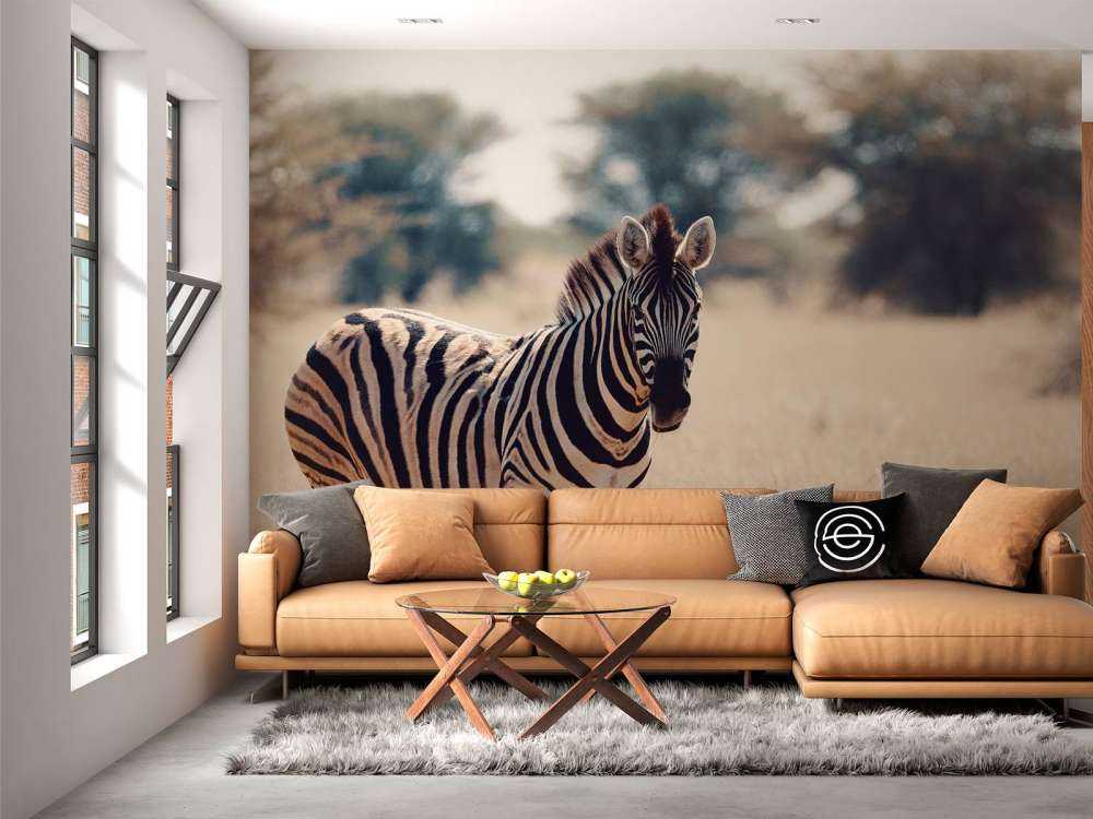 Zebra in het wild