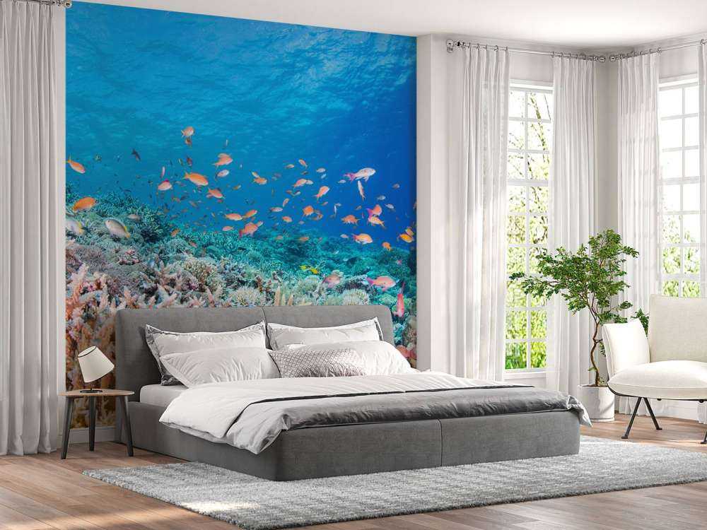 Koraalrif met kleine visjes