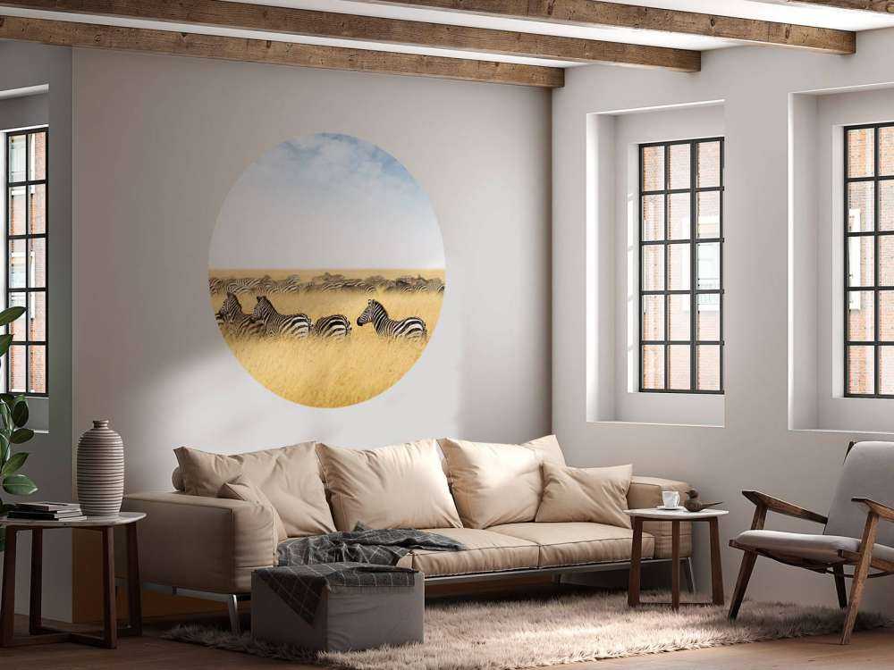 Kudde zebra's in Kenia