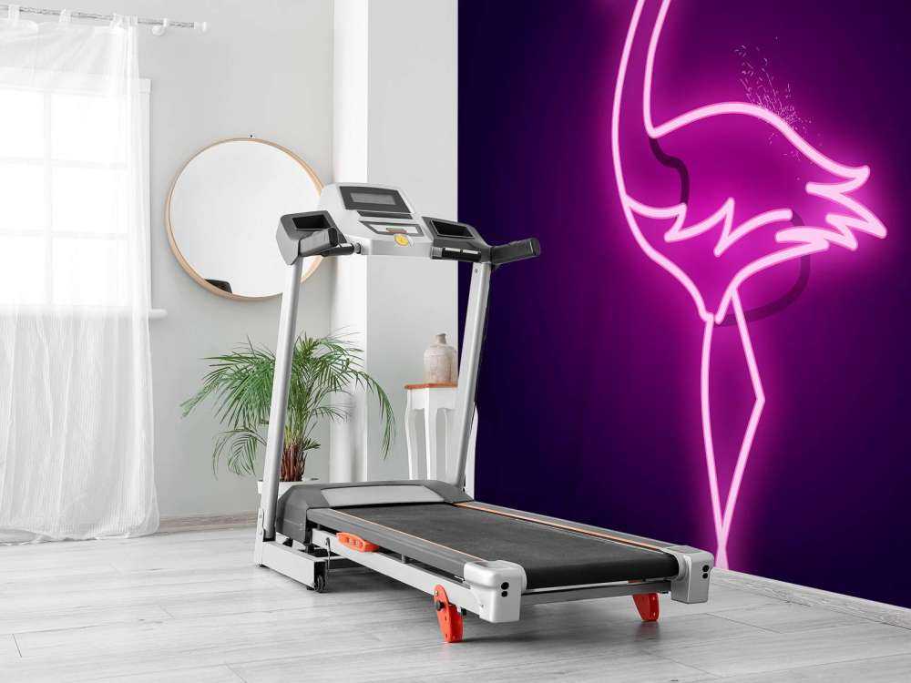 Flamingo neon pictogram