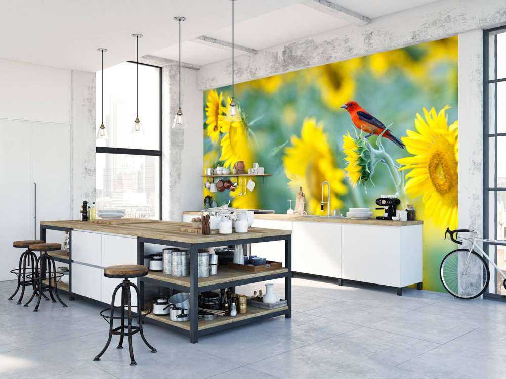 Zonnebloemenveld met rood vogeltje