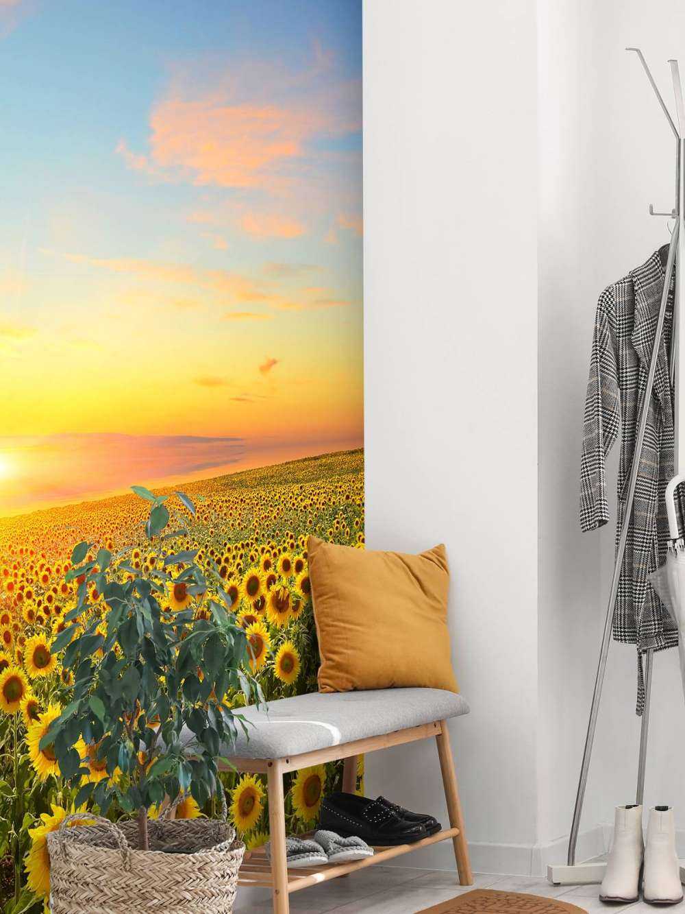 Zonnebloemen bij zonsondergang