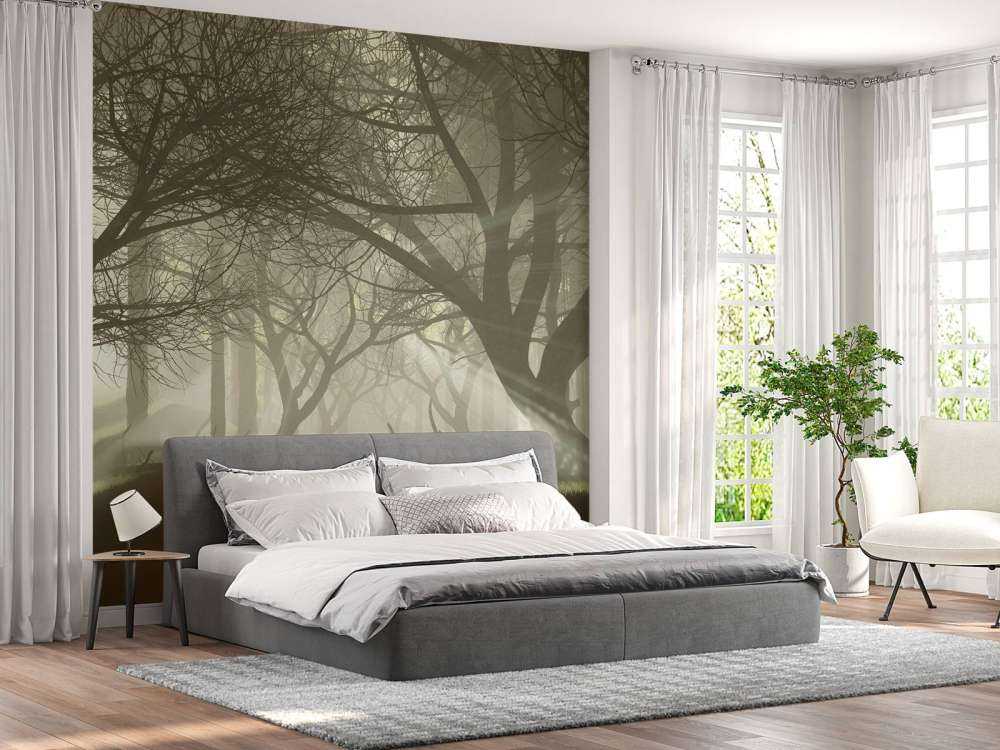 Mysterieus donker bos