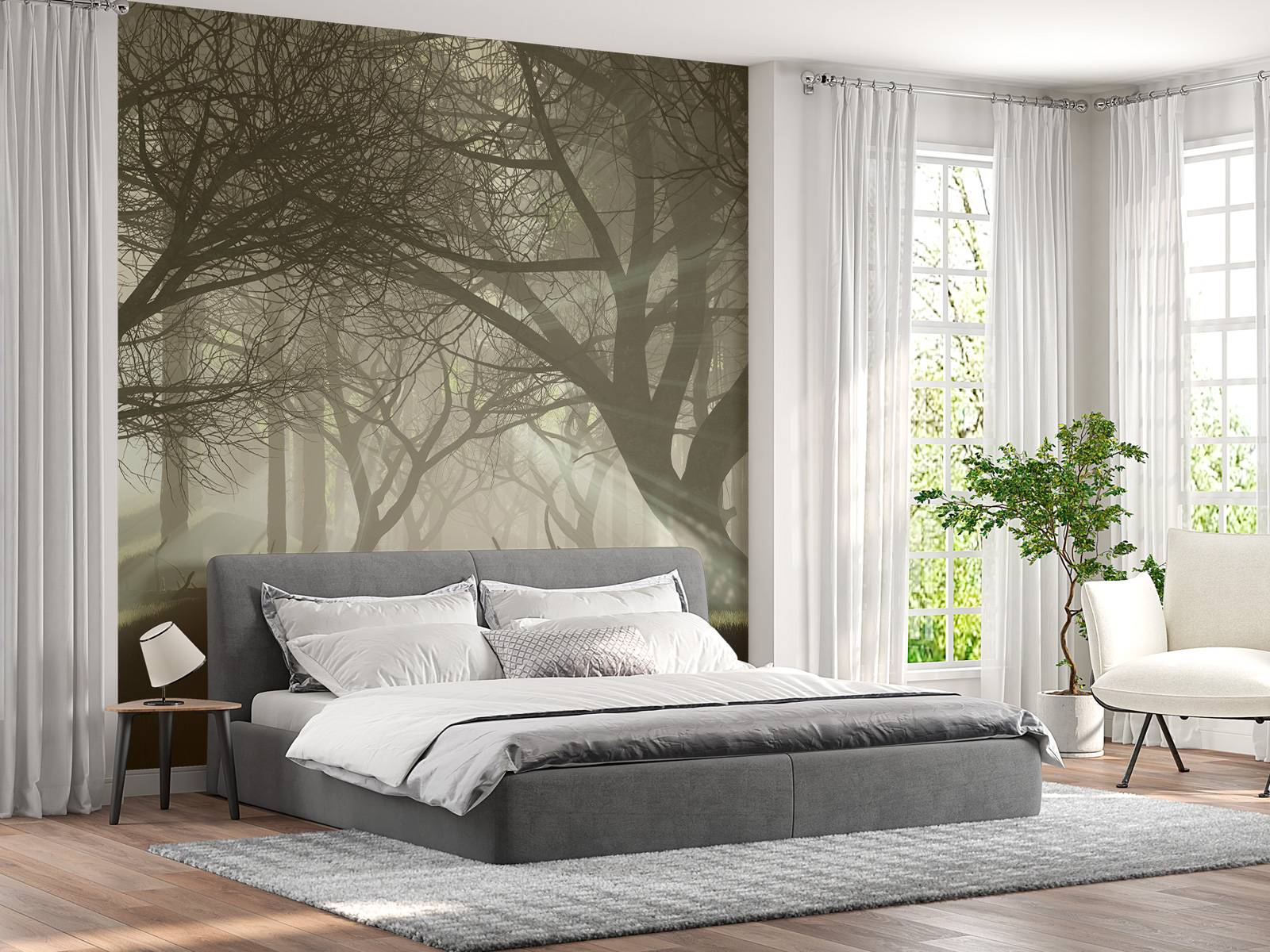 Mysterieus donker bos - Fotobehang, image size:1600x1200