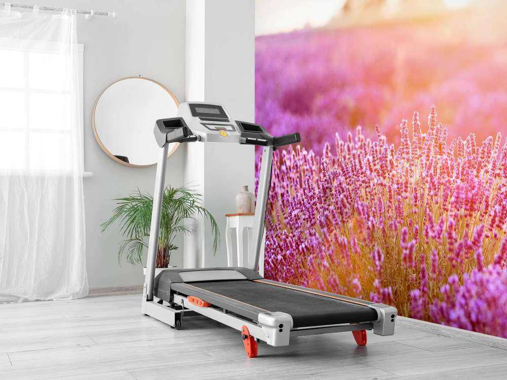 Close-up lavendel bloemen