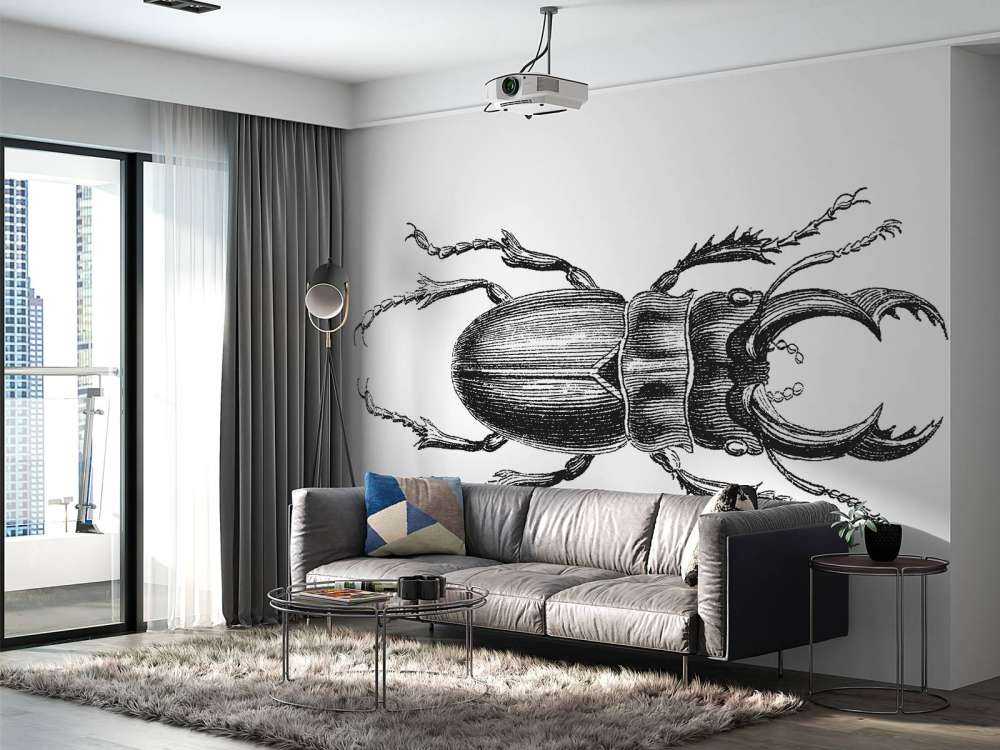 Stag beetle drawing