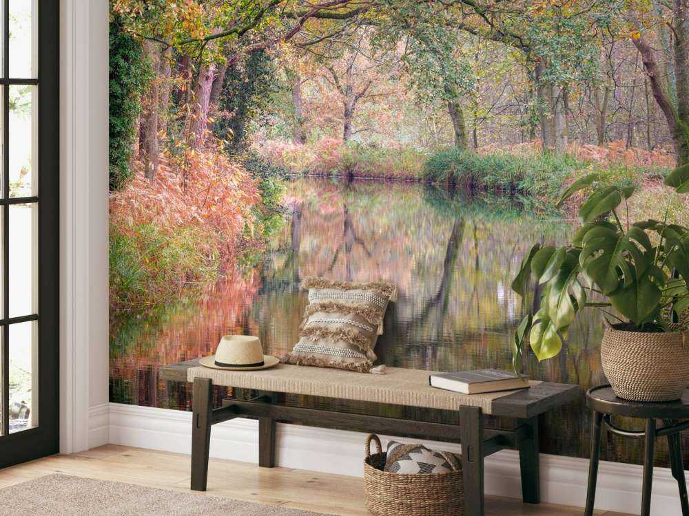 overdekt kleurrijk bos