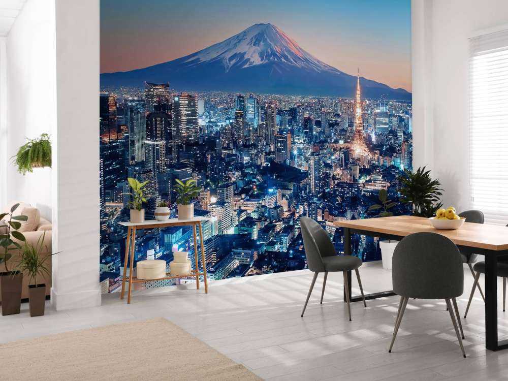 Tokyo bij zonsondergang