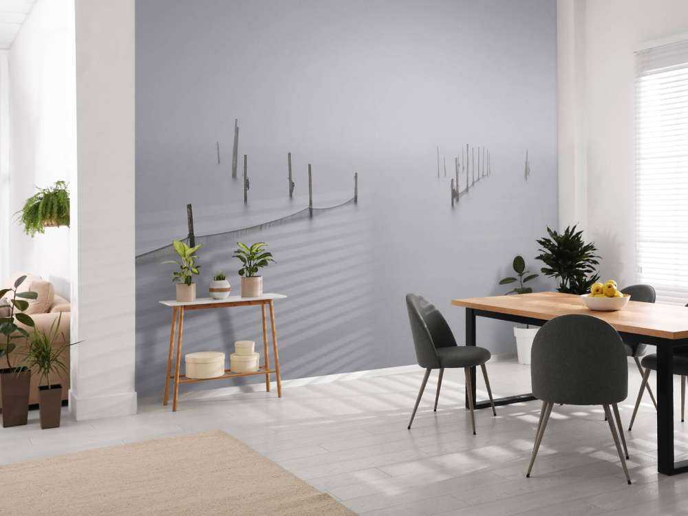 Visnetten in de mist