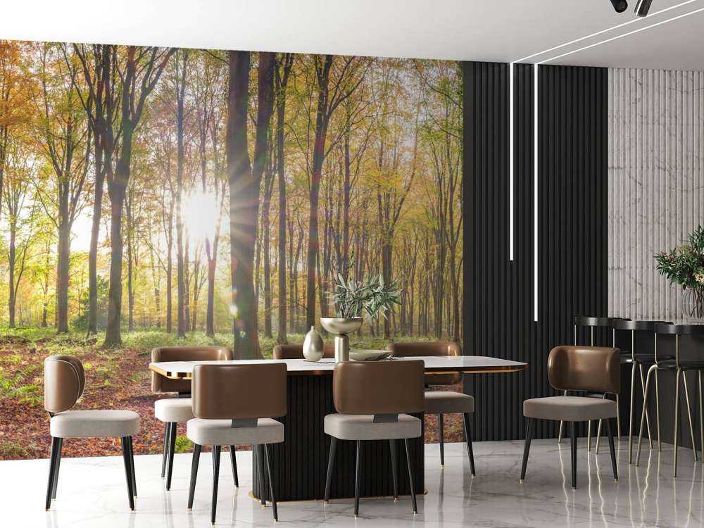 Zonlicht door herfstbos