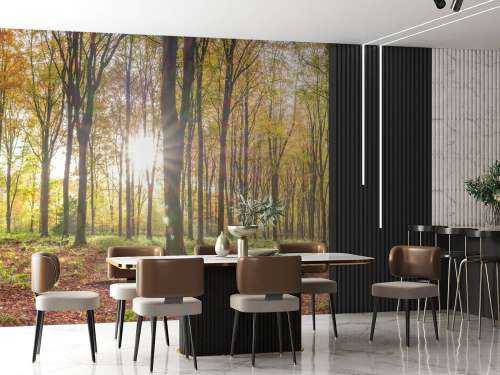 Zonlicht door herfstbos