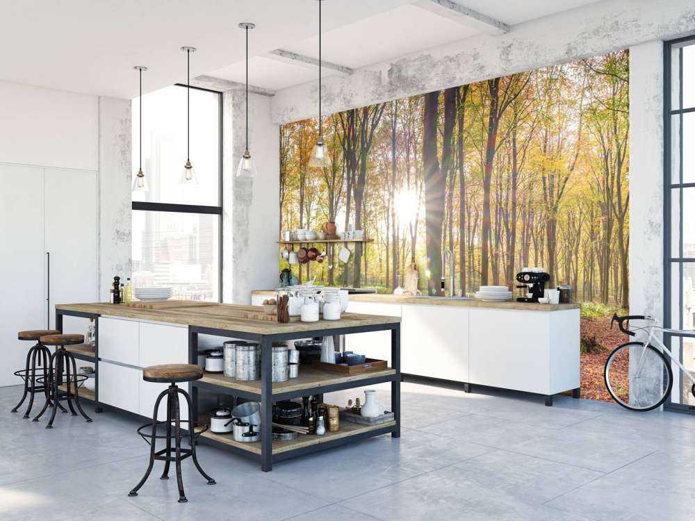 Zonlicht door herfstbos