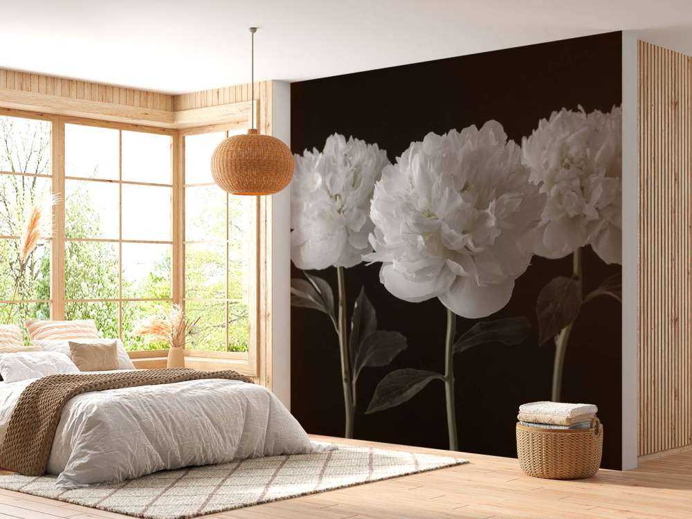 Drie witte pioenrozen