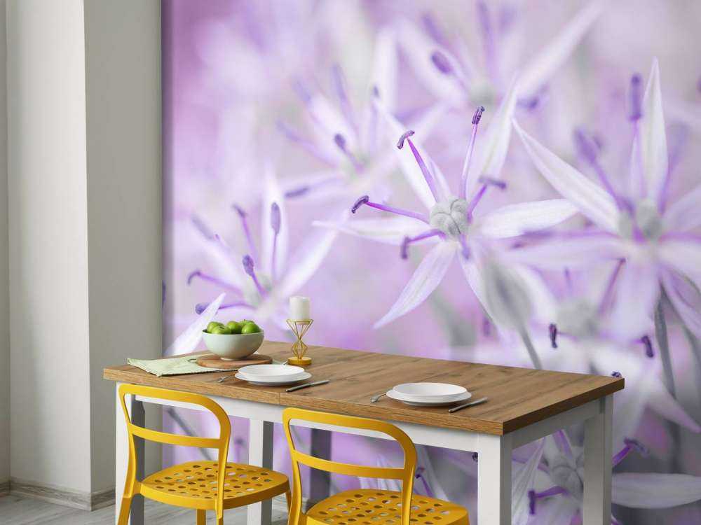 Close-up allium bloemen