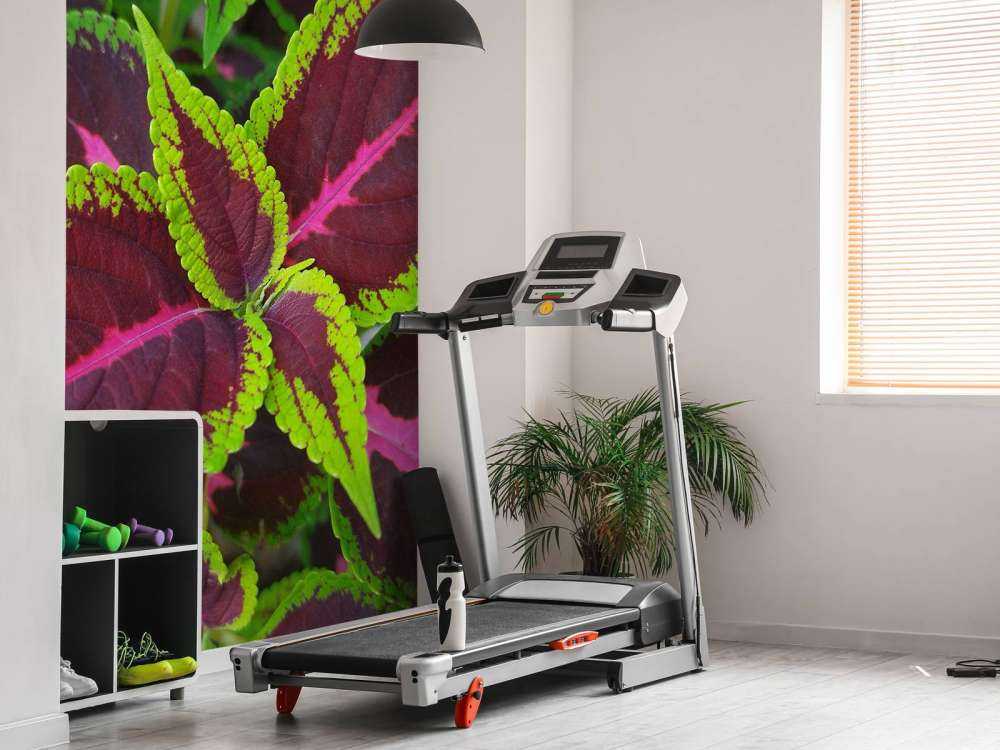 Close-up gekleurde plant