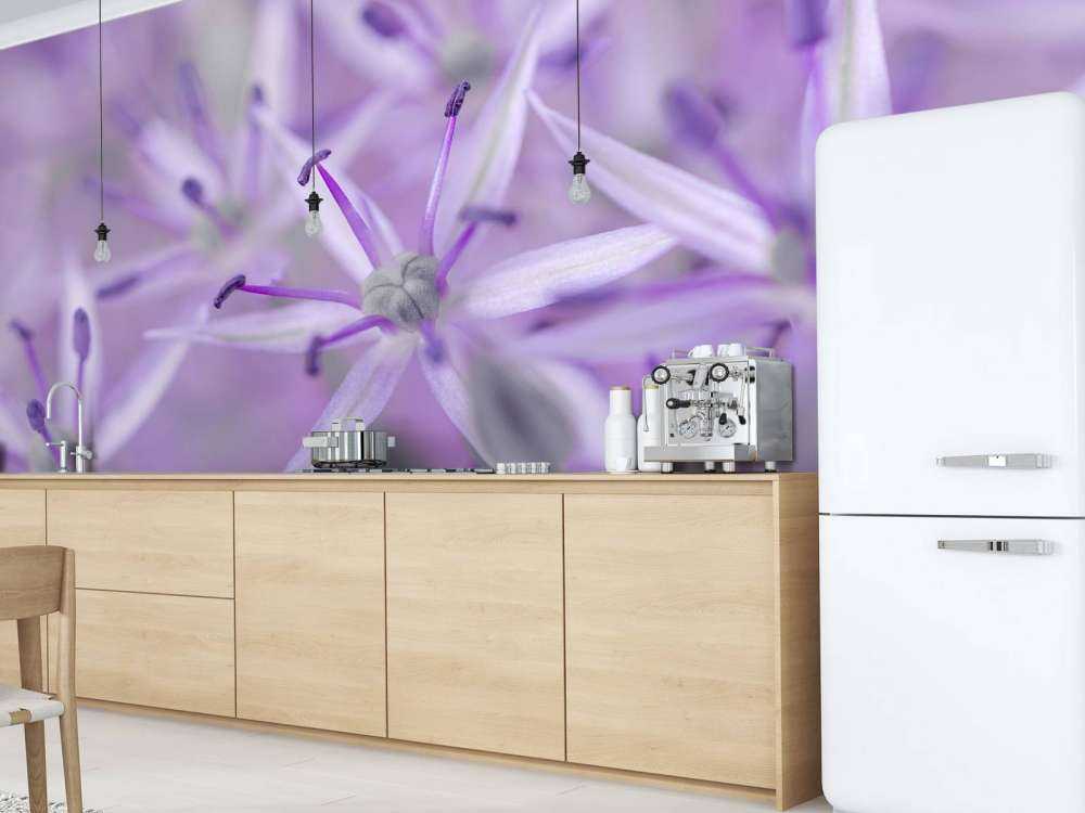 Paarse allium bloemen