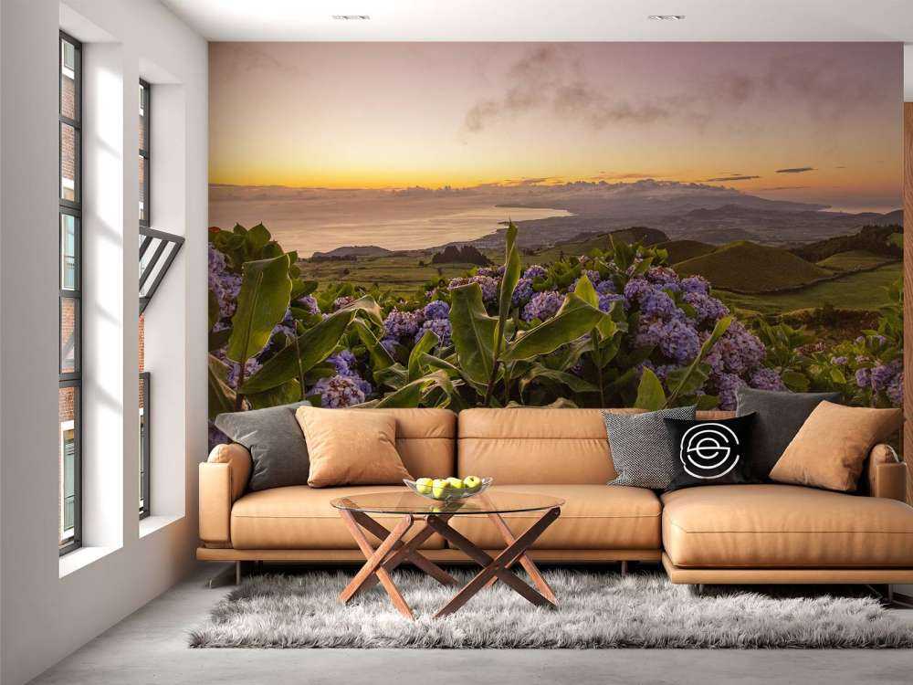 Zonsondergang met hortensia's