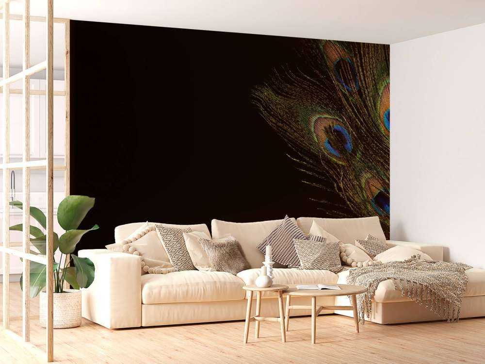 Kleurrijke pauwenveer