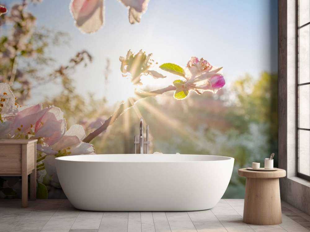 Felle Zon achter Bloesem takjes