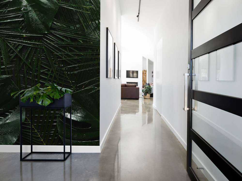 Donkergroene Tropische Bladeren