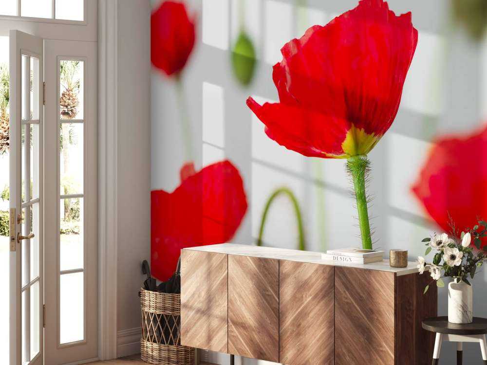 Close-up rode klaprozen