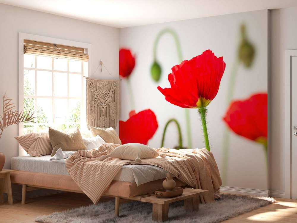 Close-up rode klaprozen