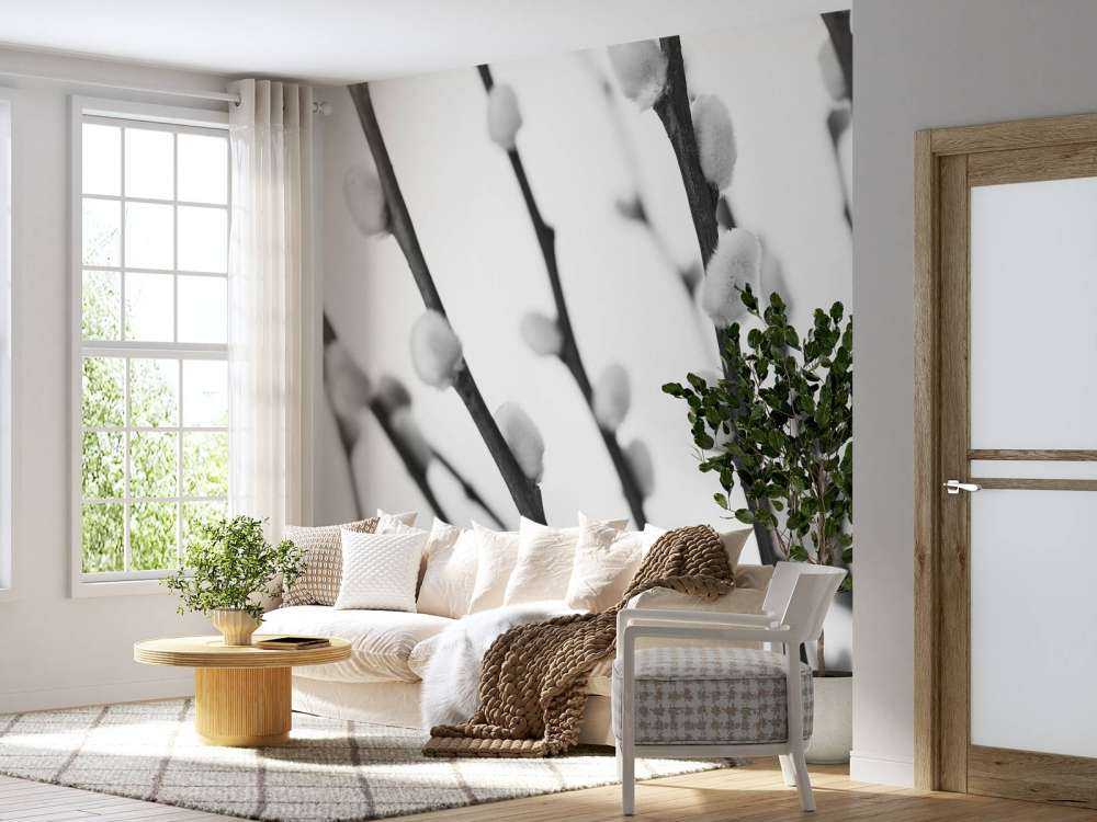 Boswilg in zwart-wit