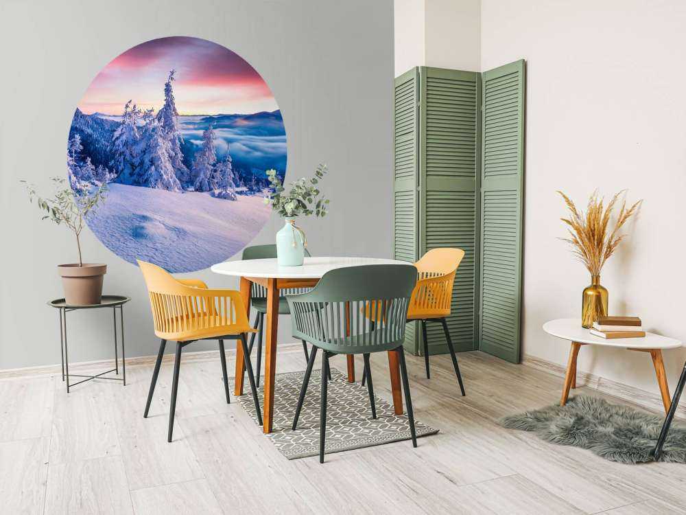 De Karpaten in de winter