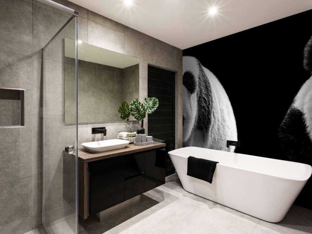 Panda's met een zwarte achtergrond