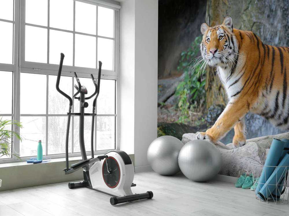 Een grote Sumatraanse tijger