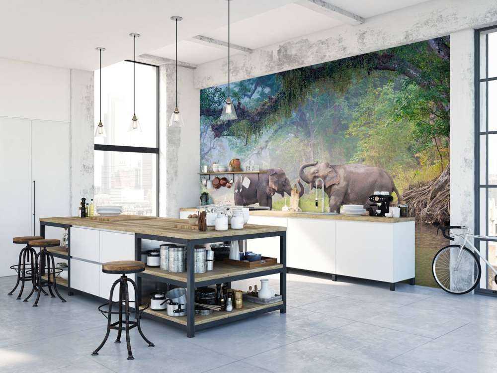 Aziatische olifanten in een rivier