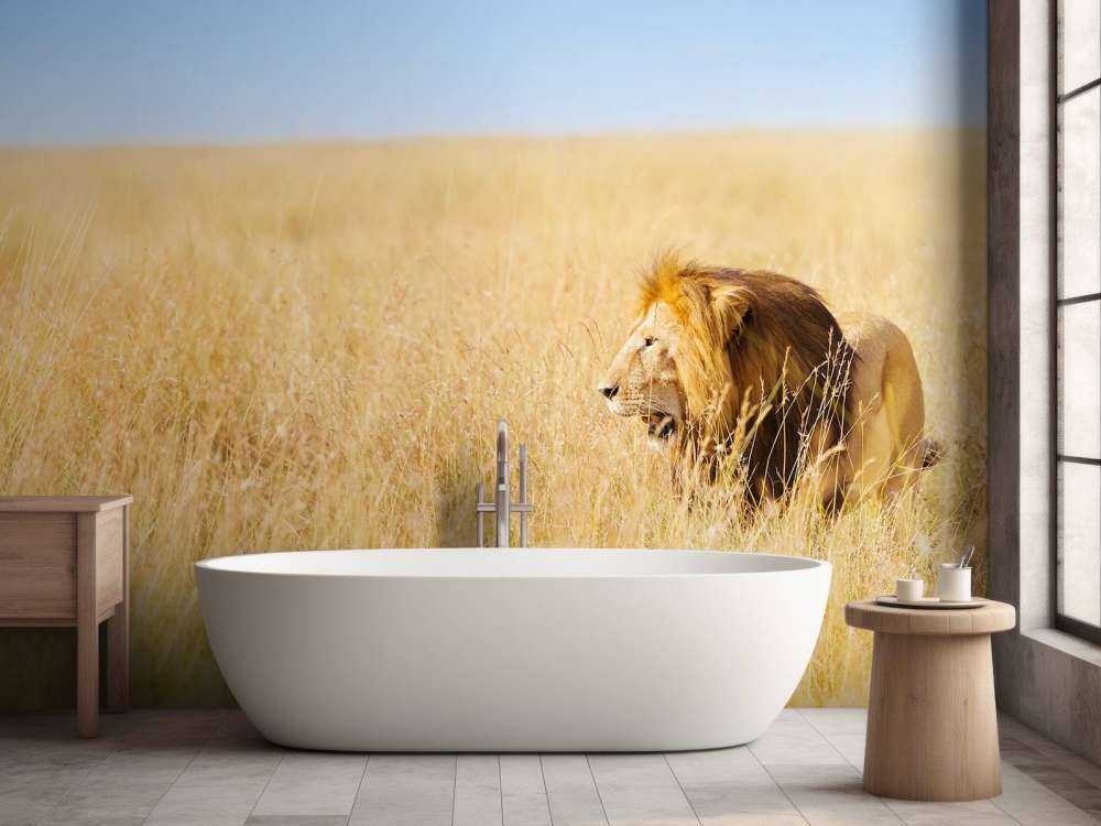 Afrikaanse leeuw op zoek naar een prooi