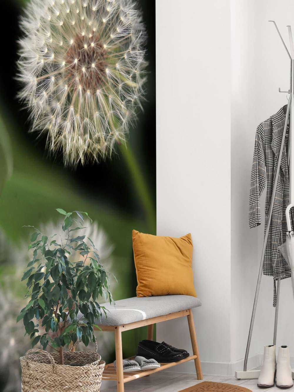 Close-up paardenbloemen