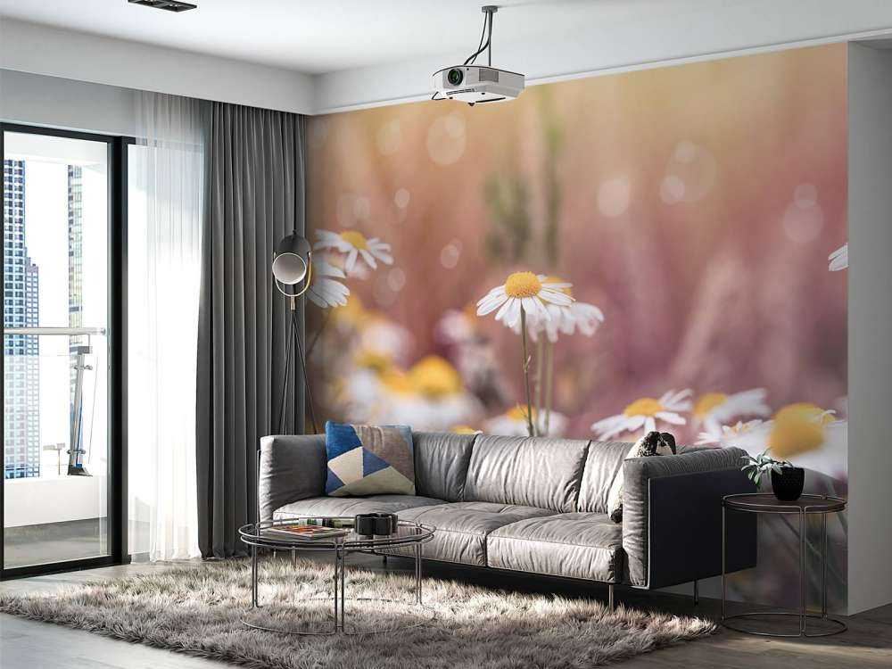 Veld vol Madeliefjes